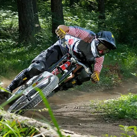 La Tana Del Ghiro 3*